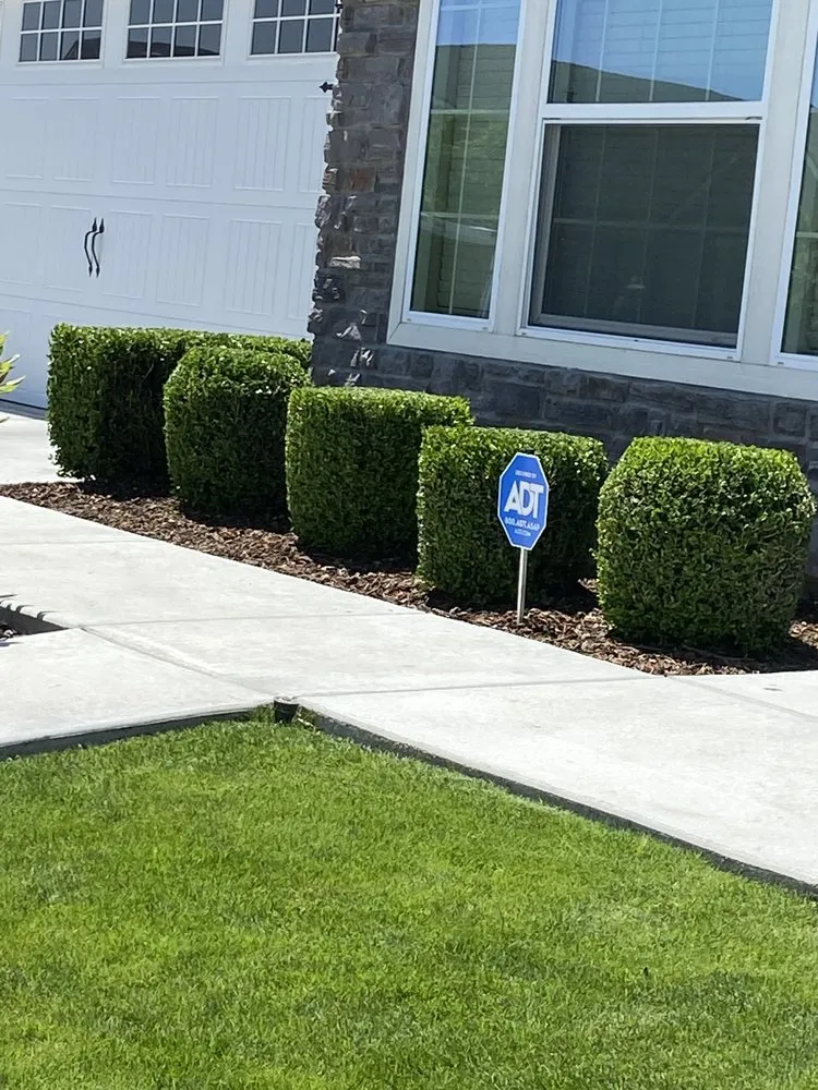 Affordable yard cleanup service for beautiful yards in Visalia, CA by Fonseca’s Gardening service