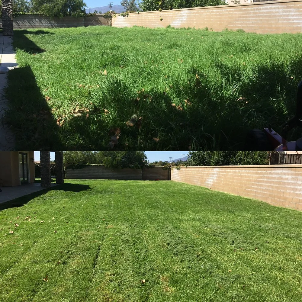 Reliable yard cleanup service for beautiful yards in Fontana, CA by Fontana Electric Landscaping And Gardening