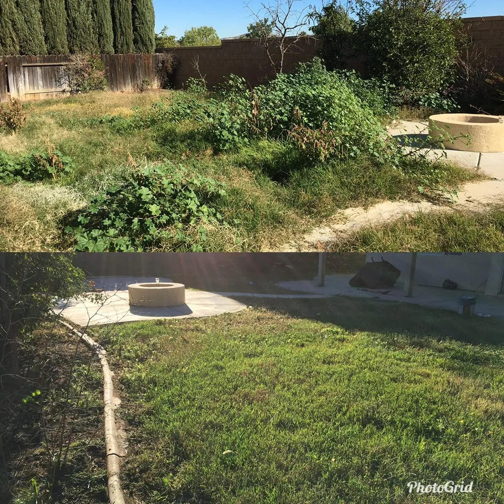 Custom yard maintenance experts serving Fontana, CA - Fontana Electric Landscaping And Gardening