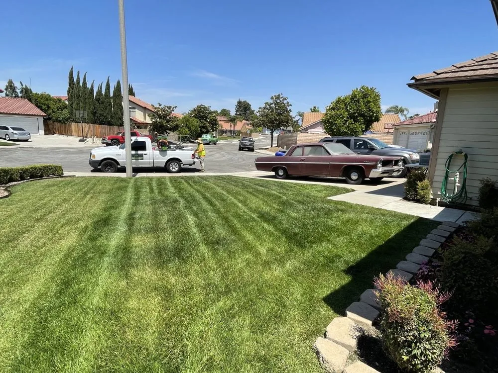 Expert yard cleanup service for outdoor upgrades in Fontana, CA by Fontana Electric Landscaping And Gardening