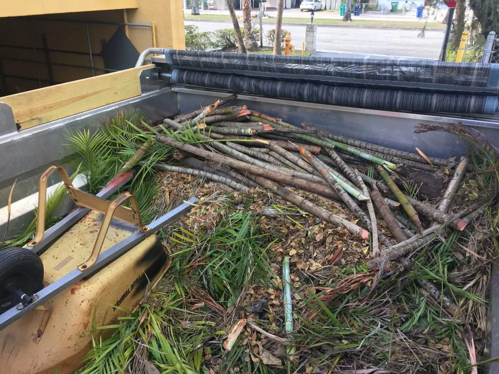 Local yard maintenance experts serving Fort Myers, FL - Fonte Lawn Care