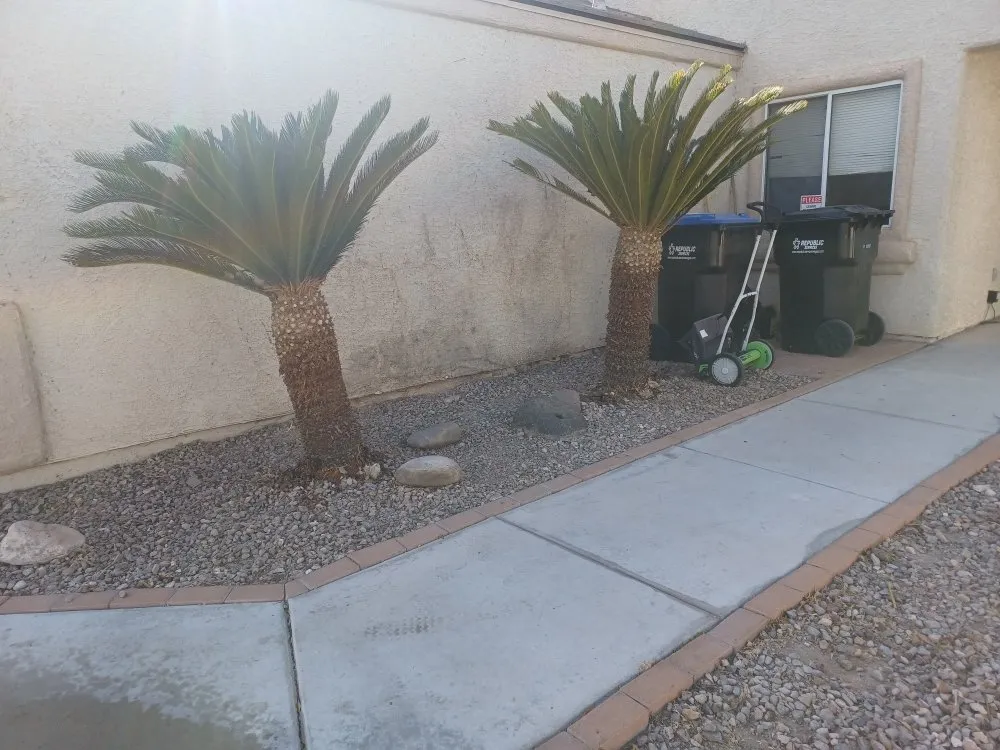Trusted yard cleanup service in Las Vegas, NV - Fonzi Landscaping