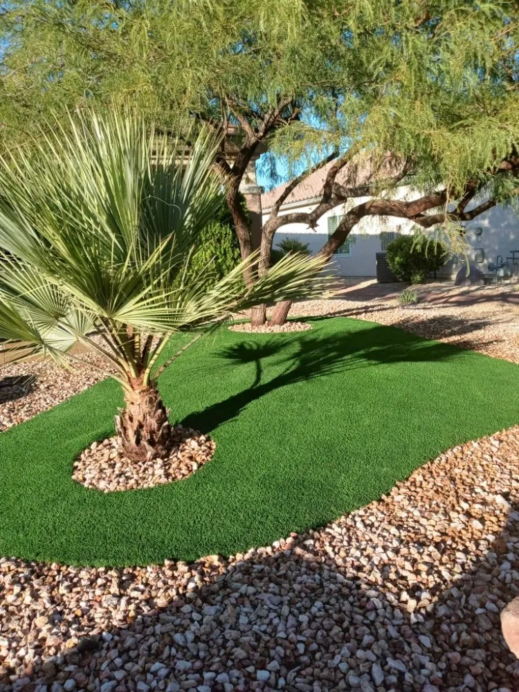 Affordable yard maintenance in Las Vegas, NV - Fonzi Landscaping