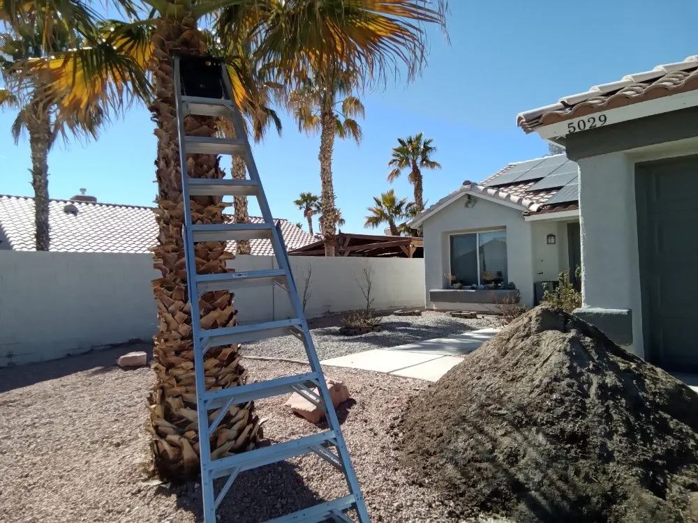 Top-rated garden landscaping for outdoor upgrades in Las Vegas, NV by Fonzi Landscaping
