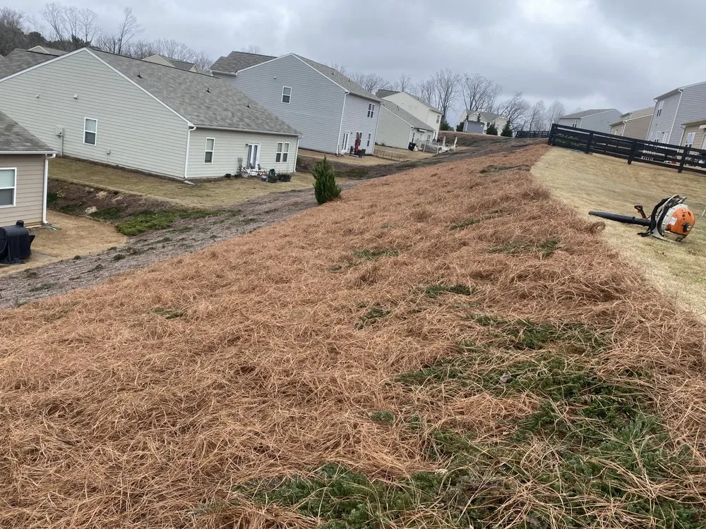 Trusted landscape design in Gainesville, GA - Fonzy Landscaping and Boat Dock Repair