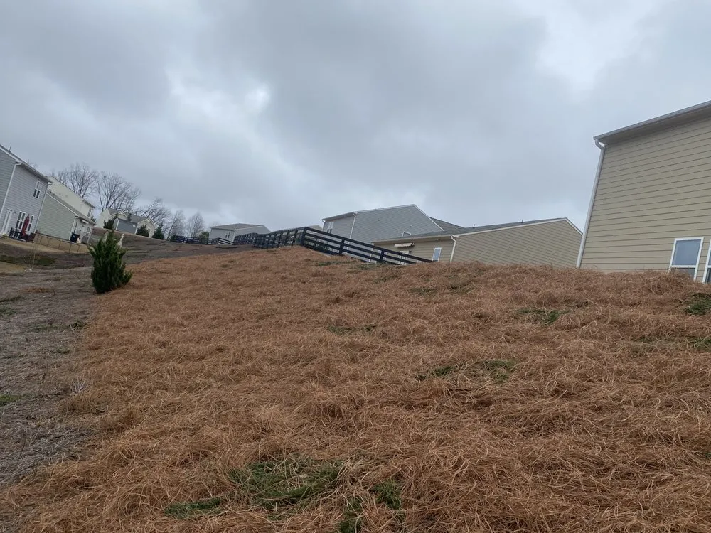 Reliable landscaping services for beautiful yards in Gainesville, GA by Fonzy Landscaping and Boat Dock Repair