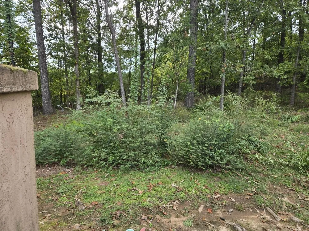 Top-rated residential landscaping in Atlanta, GA by Foot Crew