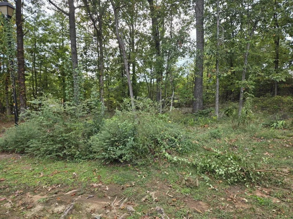 Custom landscaping services in Atlanta, GA - Foot Crew