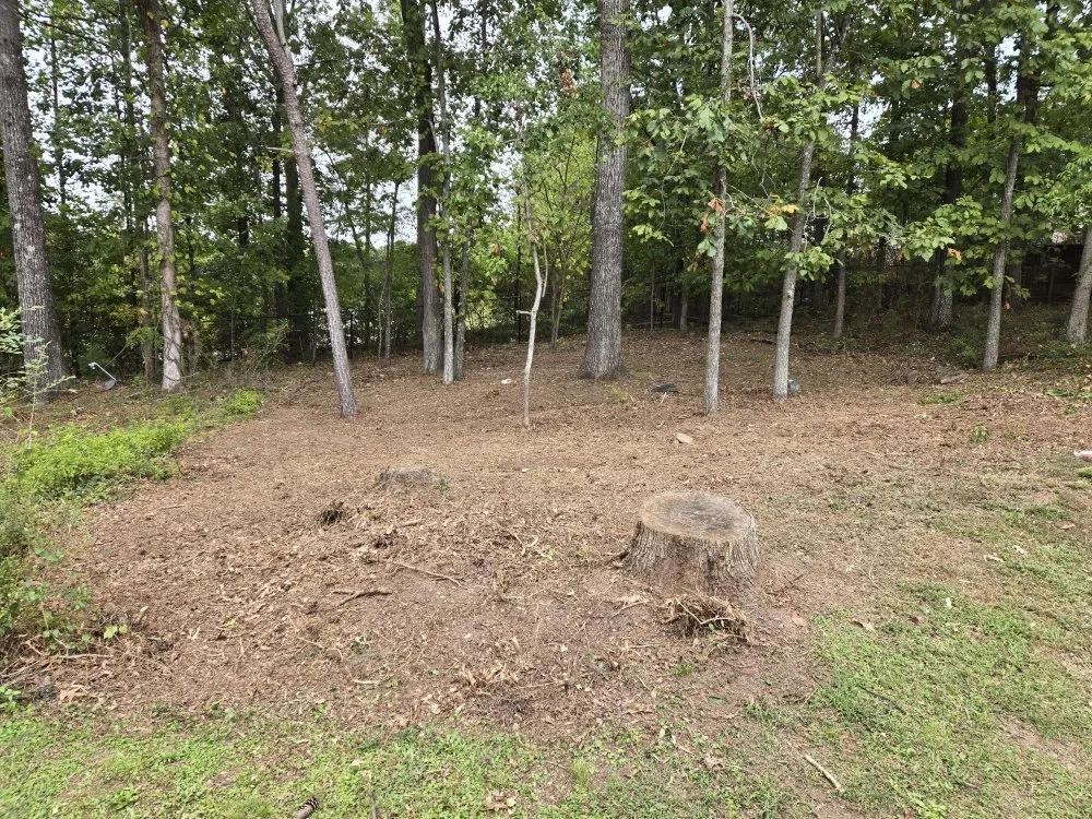 Professional landscape design experts serving Atlanta, GA - Foot Crew