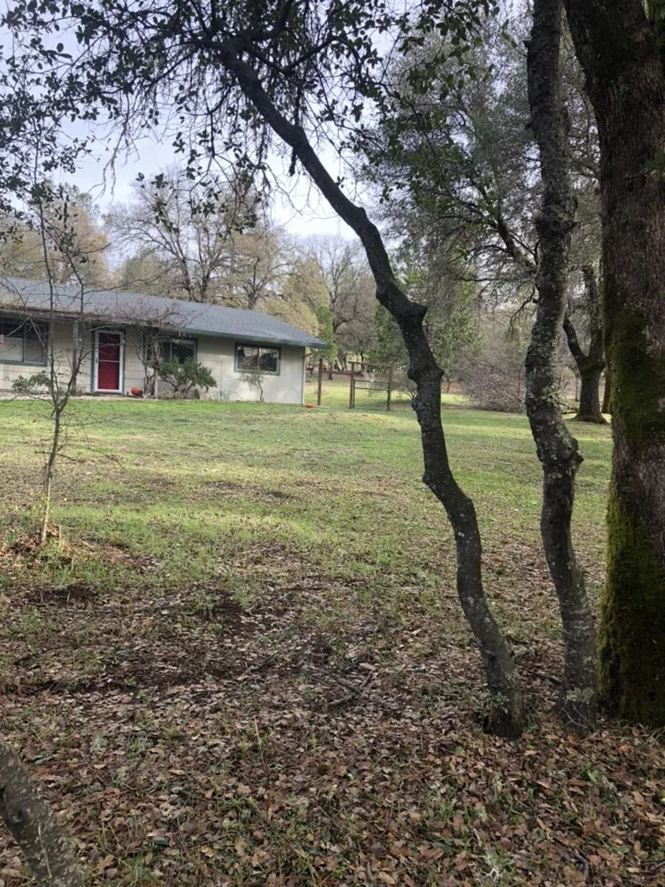 Trusted lawn mowing service for beautiful yards across Nevada City, CA - Foothill Fire Prep