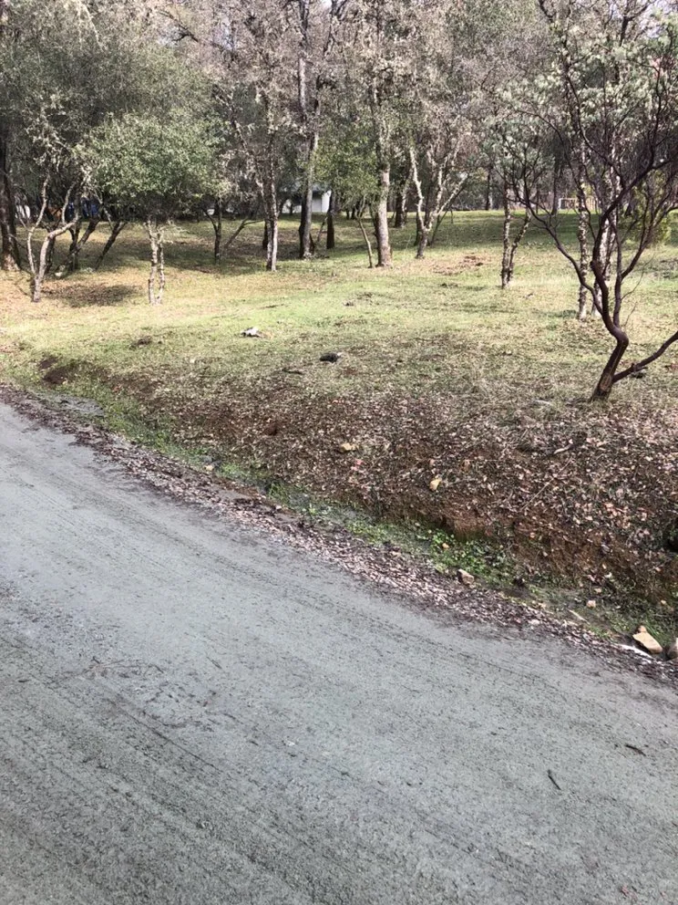 Local yard cleanup service experts serving Nevada City, CA - Foothill Fire Prep