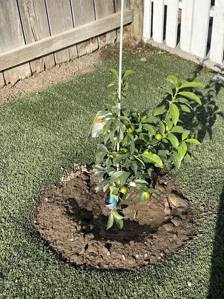 Top-rated lawn care service experts serving Modesto, CA - Foothill Landscape