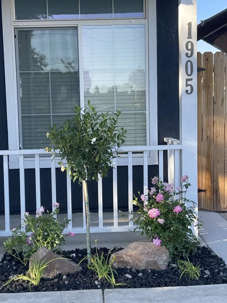 Custom landscape design for beautiful yards across Modesto, CA - Foothill Landscape