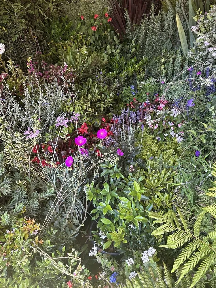 Top-rated garden landscaping experts serving Carpinteria, CA - Foothill Nursery