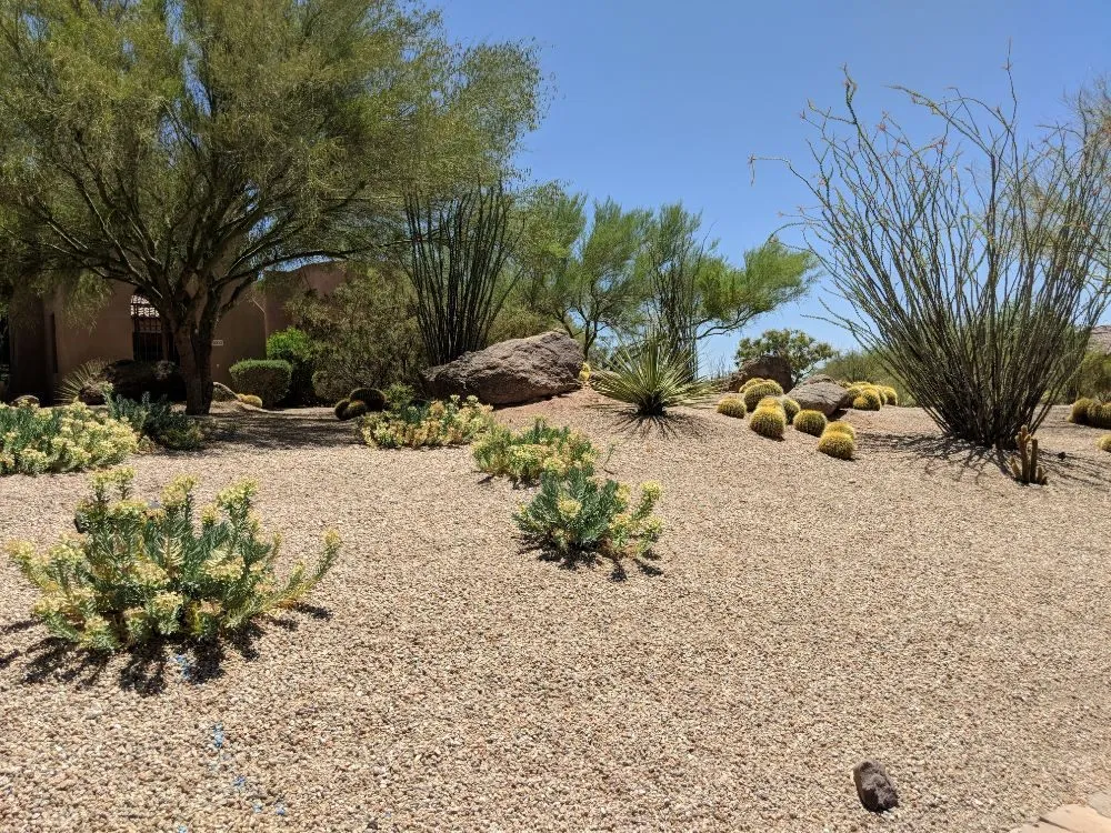 Expert lawn care service for residential properties in Cave Creek, AZ by Foothills Granite
