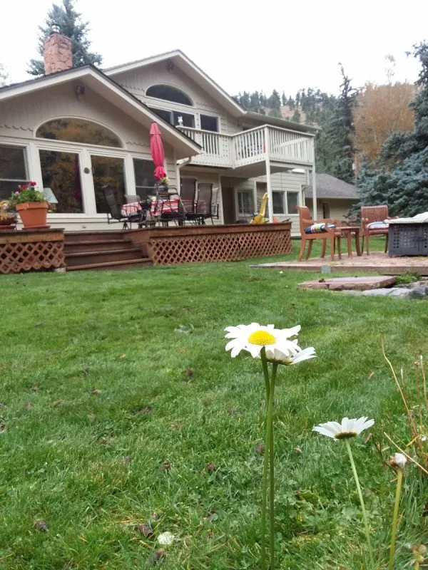 Custom lawn mowing service for outdoor upgrades across Indian Hills, CO - Foothills Ground Control