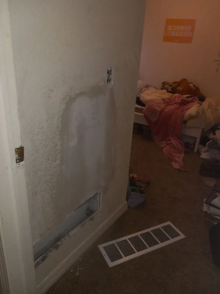 Custom landscape installation in Boulder, CO - Foothills Handyman Services