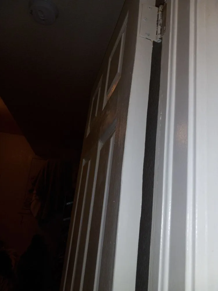 Expert yard cleanup service experts serving Boulder, CO - Foothills Handyman Services