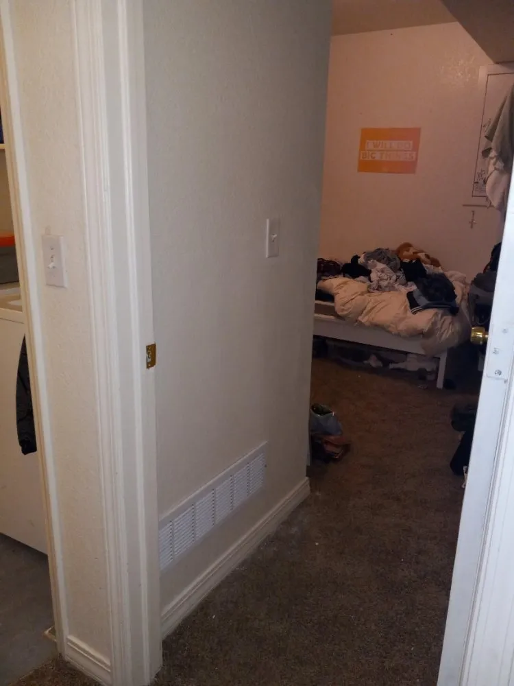 Professional yard maintenance in Boulder, CO - Foothills Handyman Services