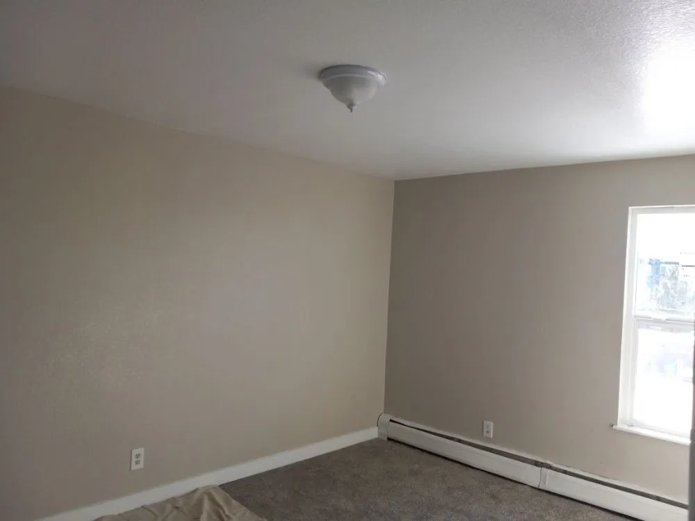 Trusted yard cleanup service for homes across Boulder, CO - Foothills Handyman Services