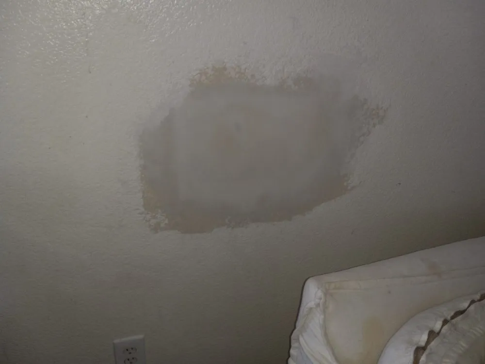 Affordable landscaping services experts serving Boulder, CO - Foothills Handyman Services