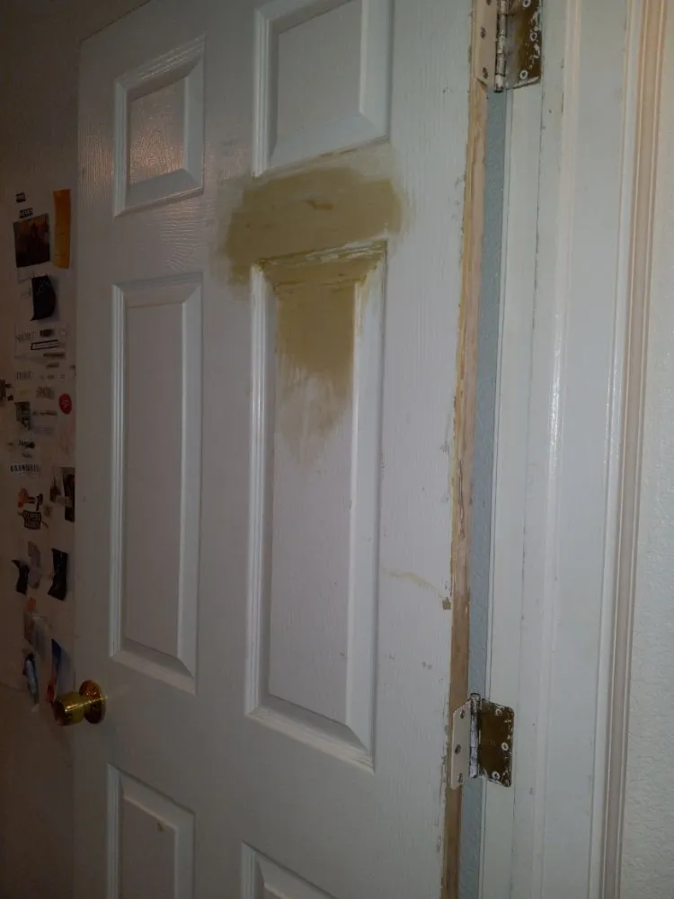 Top-rated garden landscaping experts serving Boulder, CO - Foothills Handyman Services