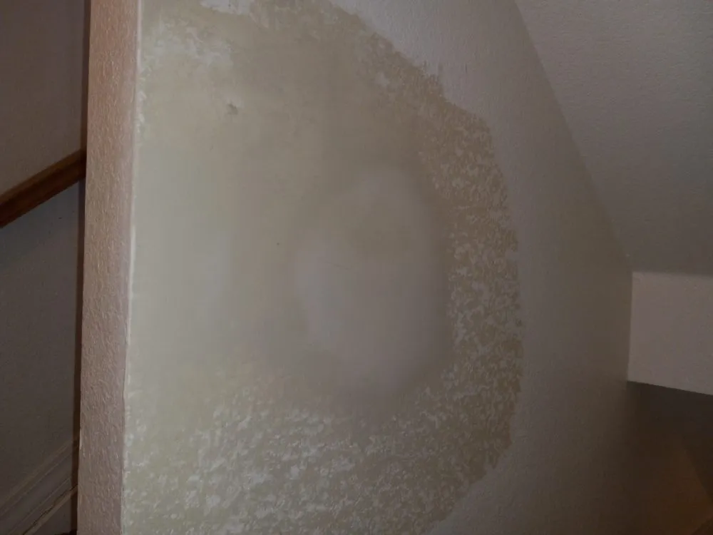 Affordable residential landscaping with custom design in Boulder, CO by Foothills Handyman Services