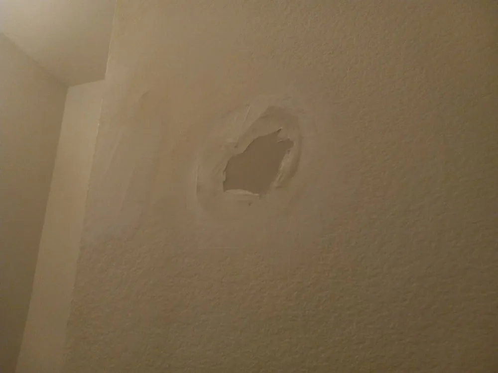 Local landscaping services for year-round maintenance in Boulder, CO by Foothills Handyman Services