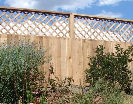 Professional yard cleanup service in Fountain, CO - Foothills Landscaping & Irrigation