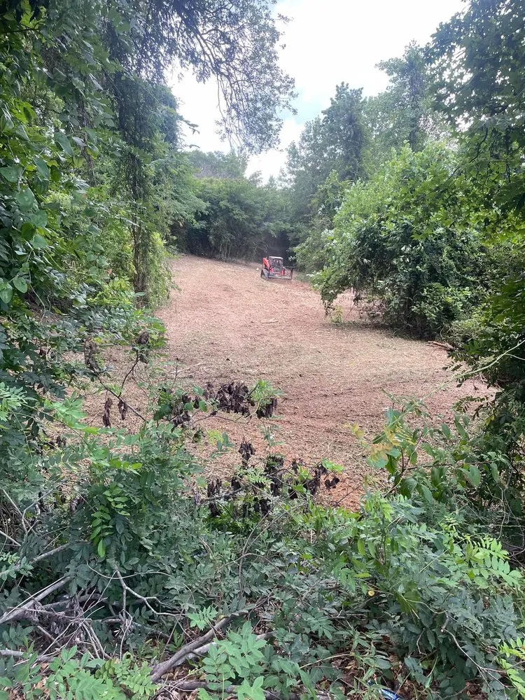 Trusted landscape installation in Travelers Rest, SC by Foothills Specialty Landscaping