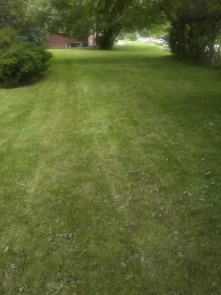 Reliable lawn mowing service with custom design across Golden, CO - Foothills Yard Services And Landscaping