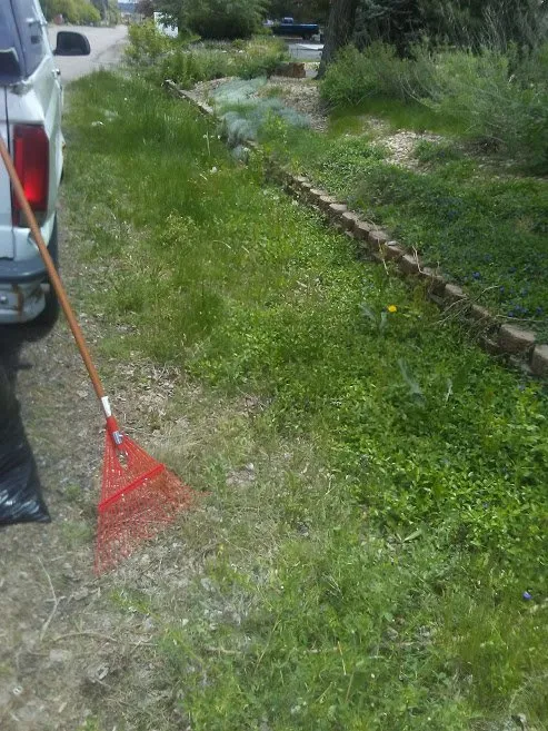 Affordable lawn care service experts serving Golden, CO - Foothills Yard Services And Landscaping