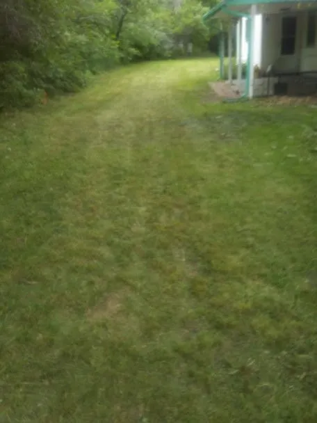 Professional lawn care service near you across Golden, CO - Foothills Yard Services And Landscaping