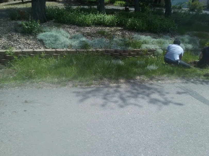 Affordable landscape installation near you in Golden, CO by Foothills Yard Services And Landscaping