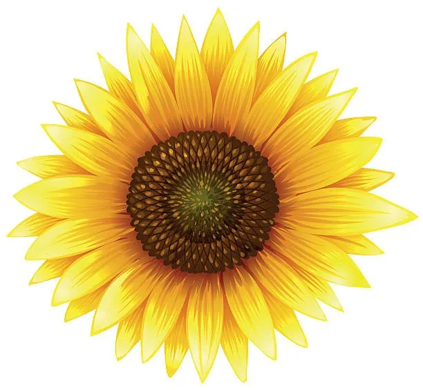 Affordable yard maintenance for year-round maintenance across State College, PA - Footie’s Gardens and Landscapes