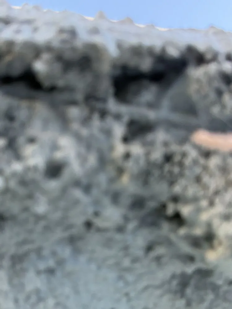 Affordable garden landscaping for outdoor upgrades across Colorado Springs, CO - Footprint Home Experts