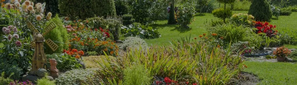 Expert lawn mowing service for outdoor upgrades in Tucson, AZ by Footprint Landscapes