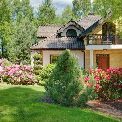 Professional lawn care service in Tucson, AZ - Footprint Landscapes