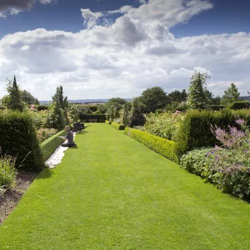 Top-rated lawn mowing service for residential properties across Tucson, AZ - Footprint Landscapes