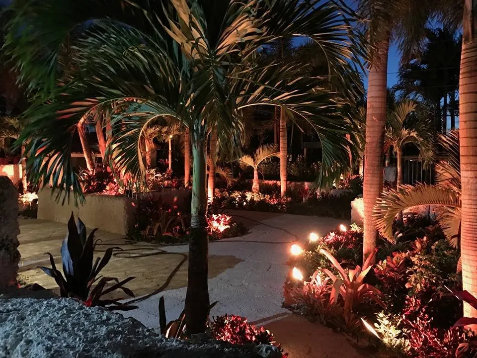 Local landscaping services in Miami, FL - For Evan's Sake Landscape
