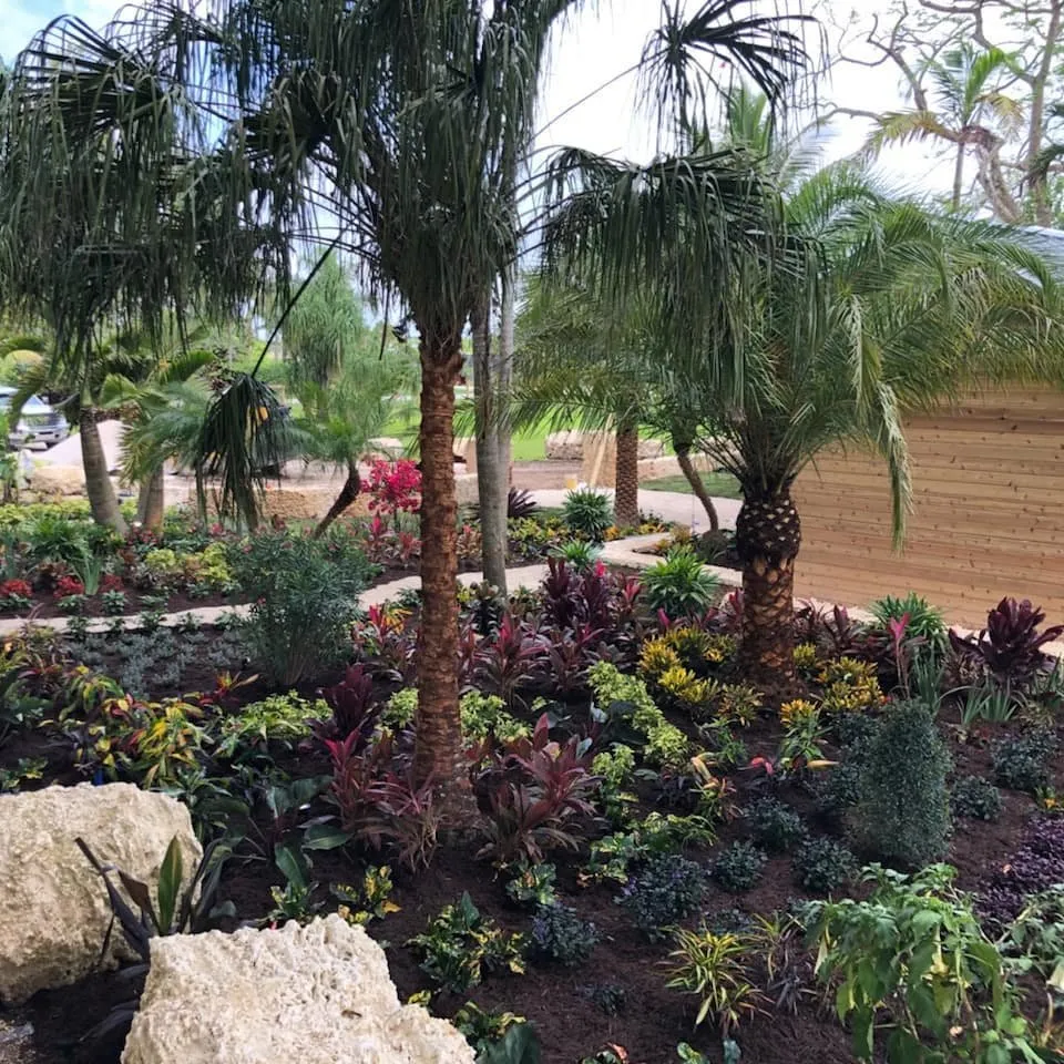 Professional landscaping services in Miami, FL by For Evan's Sake Landscape