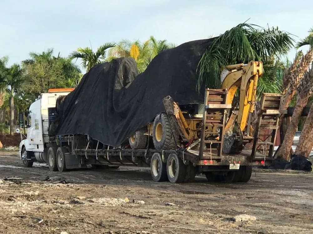 Expert garden landscaping experts serving Miami, FL - For Evan's Sake Landscape