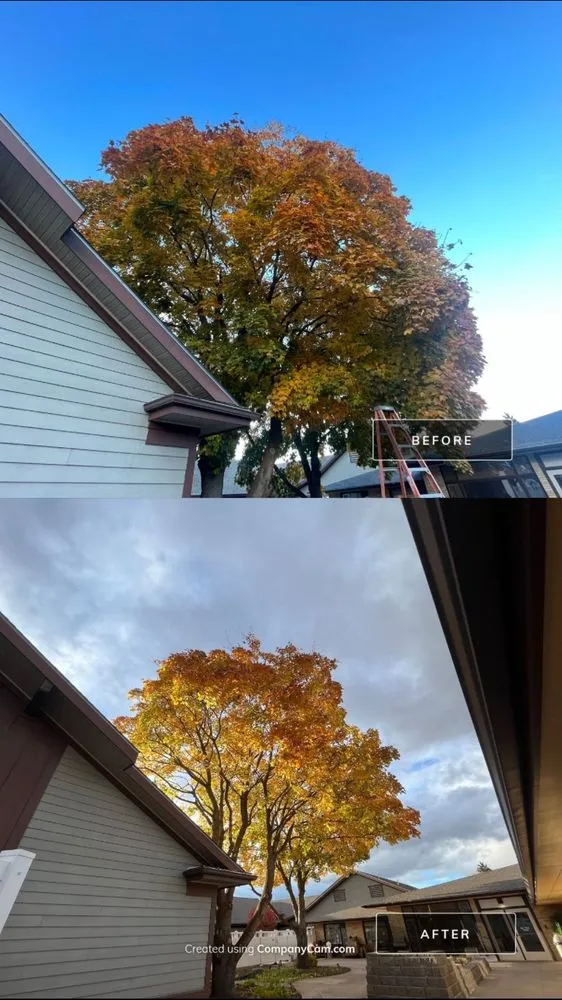 Expert yard cleanup service experts serving Kalispell, MT - For Evergreen Ground Maintenance