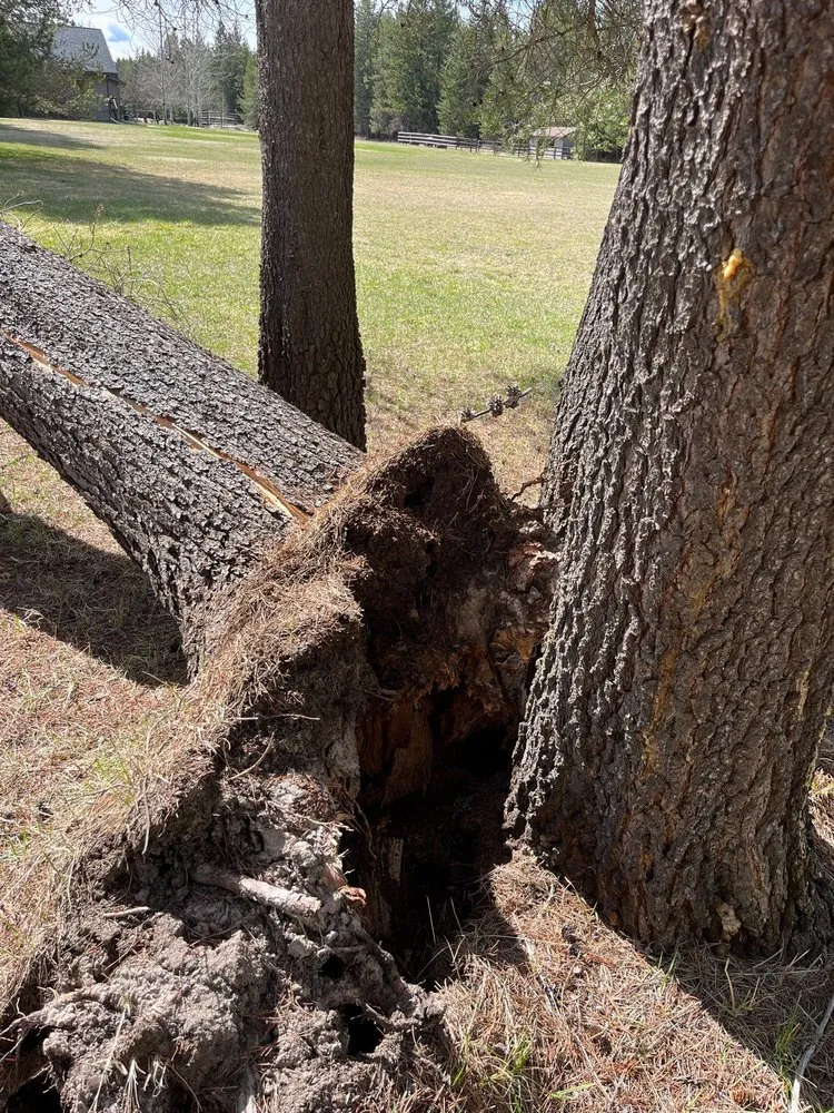 Local residential landscaping for beautiful yards in Kalispell, MT by For Evergreen Ground Maintenance