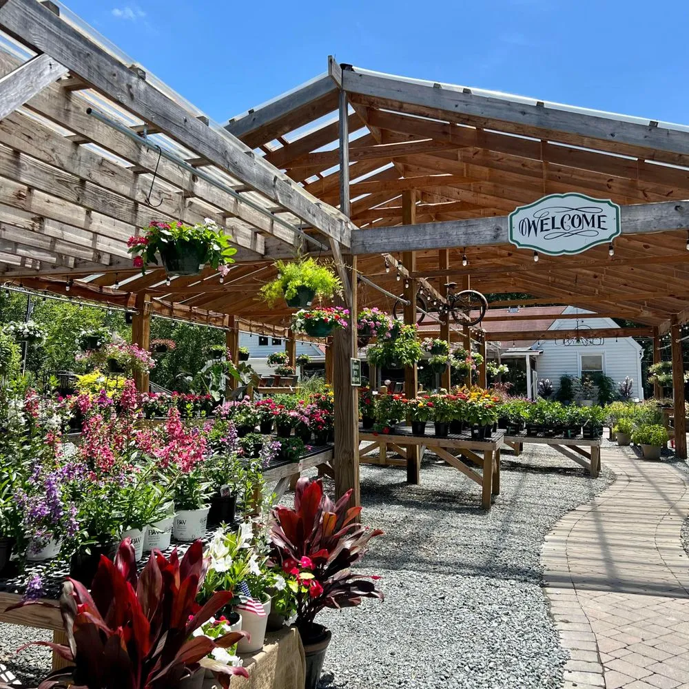 Affordable landscaping services for residential properties in Durham, NC by For Garden's Sake