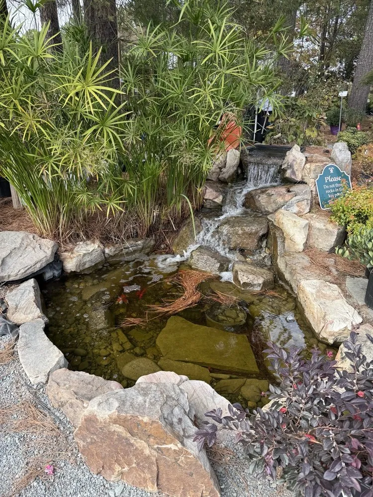 Affordable yard maintenance for outdoor upgrades across Durham, NC - For Garden's Sake