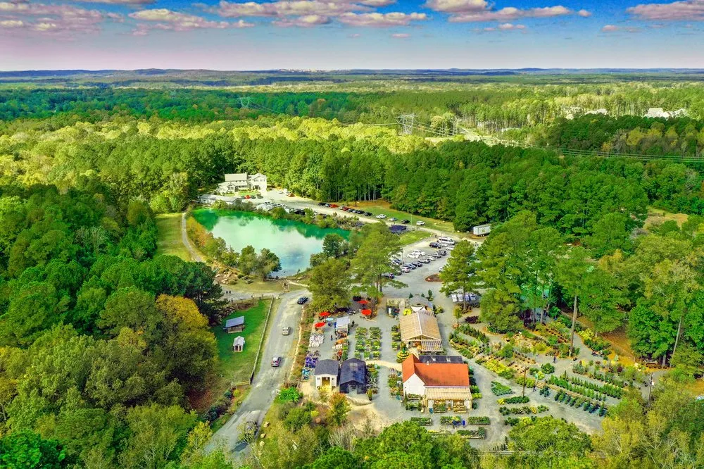 Affordable landscaping services in Durham, NC by For Garden's Sake