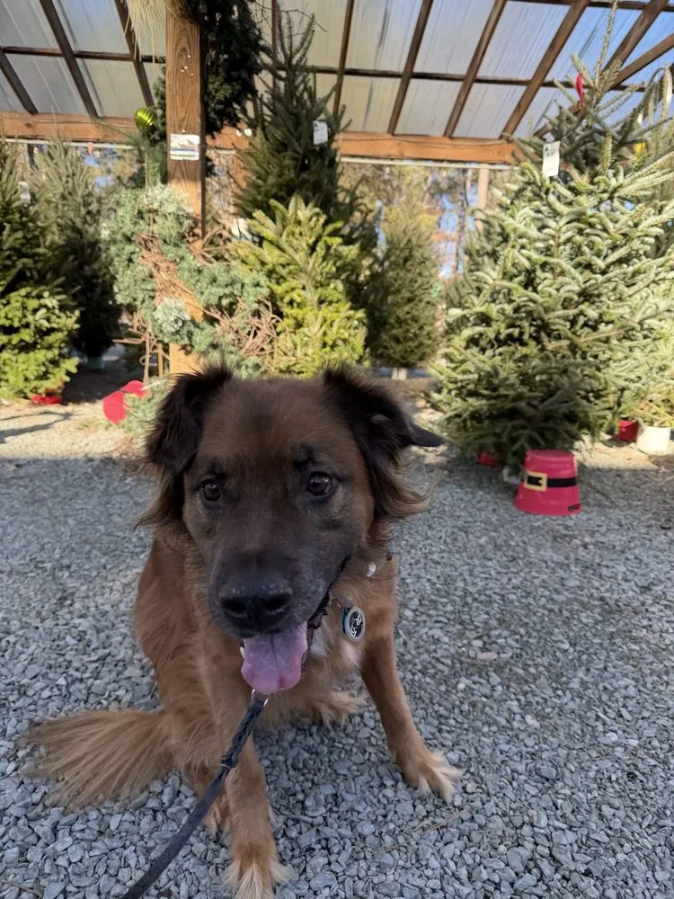 Professional landscaping services experts serving Durham, NC - For Garden's Sake