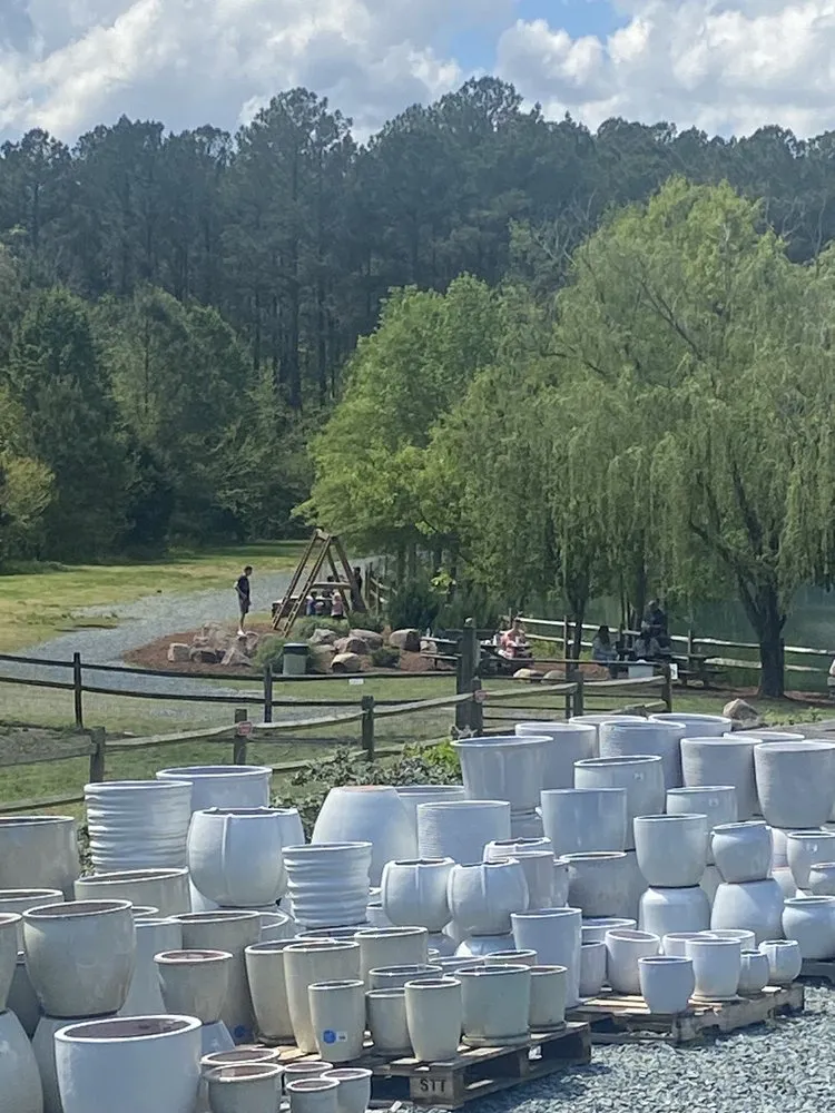 Reliable yard cleanup service for residential properties in Durham, NC by For Garden's Sake