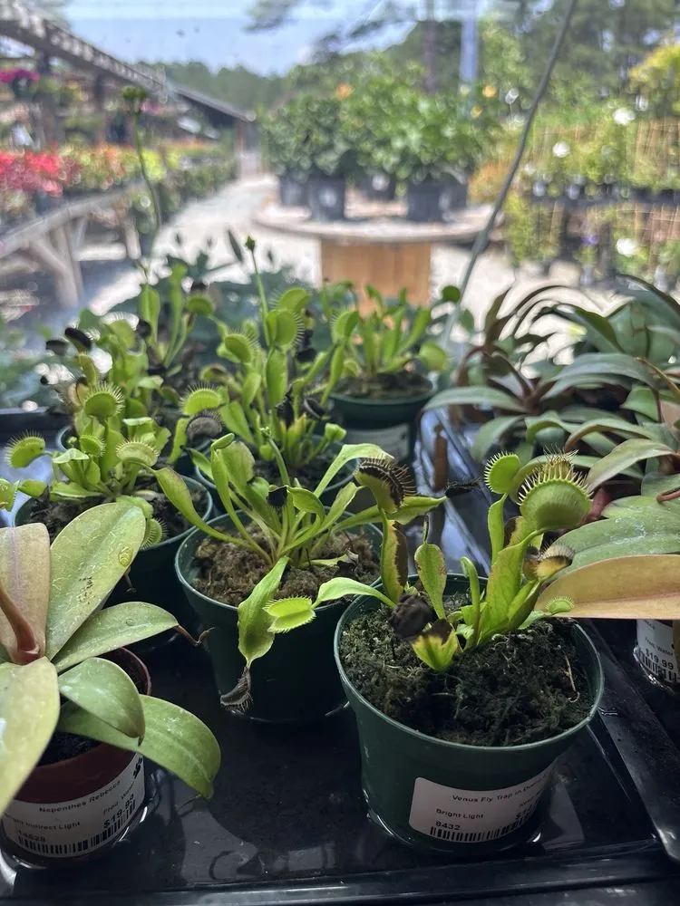 Expert lawn mowing service in Durham, NC - For Garden's Sake